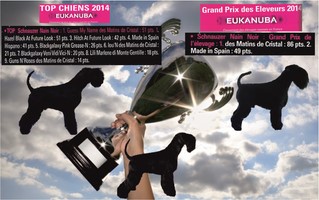 Grand Prix Vos Chiens Magazine et Eukanuba